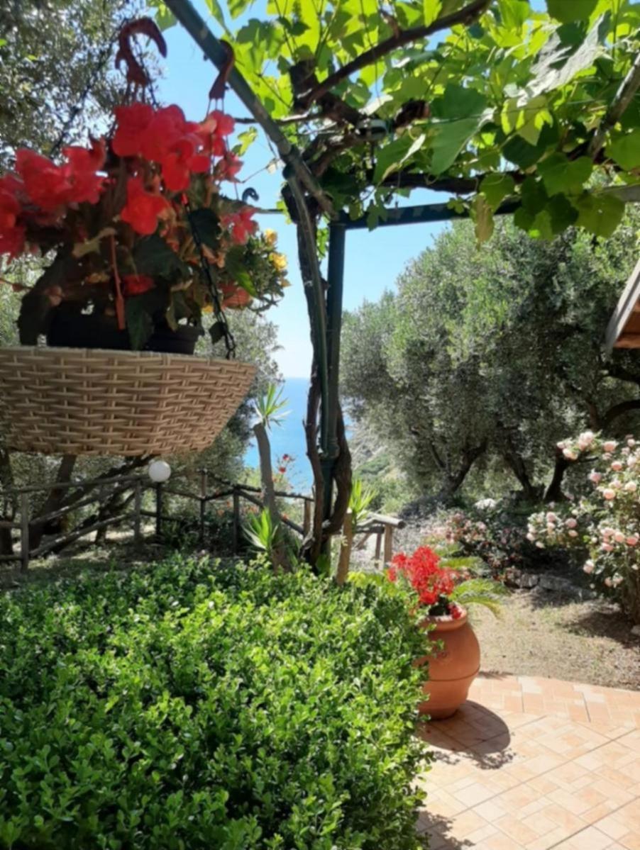 Villa Gemma Joppolo Bagian luar foto